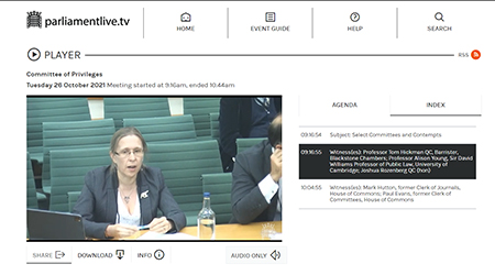 Alison Young giving evidence