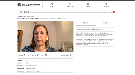 Alison Young giving evidence